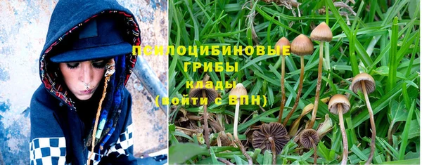 jwh Вяземский