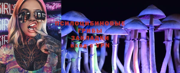 jwh Вяземский