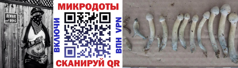 KRAKEN ТОР Лысьва Псилоцибиновые грибы Magic Shrooms